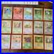 1998-1999 RARE Vintage Japanese Pokemon Vending Machine Cards Squirtle Deck Rare